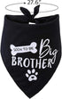 Big Brother Dog Bandana - Reversible Triangle Bibs Pet Scarf