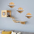 2 PCS Wall Mounted Cat Climbing Shelf, Wooden Steps Cat Wall Ladder for Climbing Perch Platform
