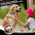 Augwind 3PCS Self Cleaning Slicker Brush & Pet Grooming Rake & Flea Comb for Dogs,Cats and Horses | Double-Sided