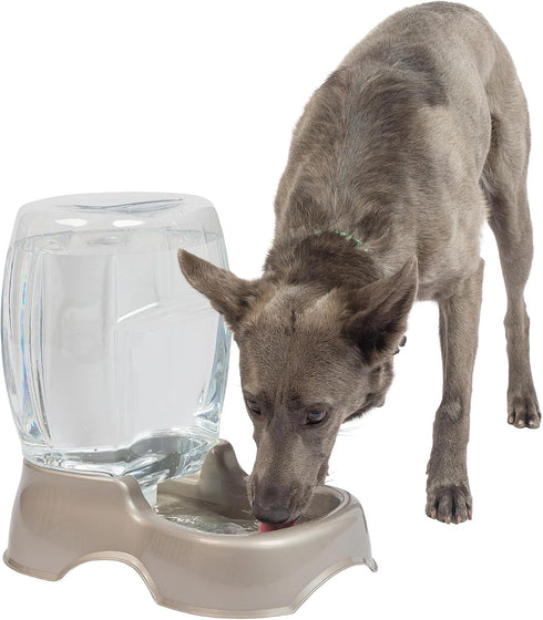 Petmate Pet Cafe Waterer Cat and Dog Water Dispenser, 4 Sizes, 3 GAL, Pearl Tan, Made in USA