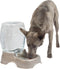 Petmate Pet Cafe Waterer Cat and Dog Water Dispenser, 4 Sizes, 3 GAL, Pearl Tan, Made in USA