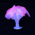 Glowing Fish Tank Decorations - 4 pcs Glow Aquarium Decorations, Glowing Mushroom Coral Plant Ornaments