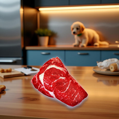 GOUDOGEDC Realistic Food Steak Plush Dog Squeaky Toy, Soft Food Shape Pet Chew Toy for Small Medium Dogs