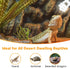 Lucky HERP UVA UVB Reptile Light 10.0, 15W Desert UVB 150 Compact Fluorescent Lamp for Reptiles