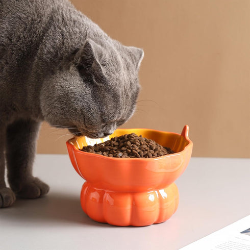 Cute Pumpkin Shaped Cat Bowl, Ceramic Raised Cat Bowl for Food or Water, 9 oz Small Elevated Dish