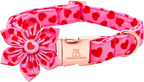 Lionheart glory Valentine's Day Dog Collar with Flower, Hearts Design for X-Small Dogs, Spring Puppy Collar