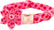 Lionheart glory Valentine's Day Dog Collar with Flower, Hearts Design for X-Small Dogs, Spring Puppy Collar