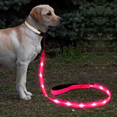 BSEEN LED Dog Leash, USB Rechargeable Light Up Leash for Nighttime Dog Walking (Pink?, 47 Inch)