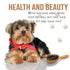 KylePet Dog Brush - Double Sided Slicker Brush with Bamboo Handle for Long Hair Pets, Grooming Comb for Shedding