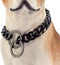 "Dog Chain Collar Black High Polished Stainless Steel Cuban Link Heavy Duty Chew Proof Leash for Small Dogs (15mm,