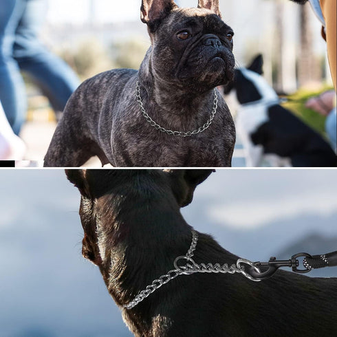 TagME Chain Choke Collar for Dogs, Adjustable Weather Proof Necklace for Medium Dogs