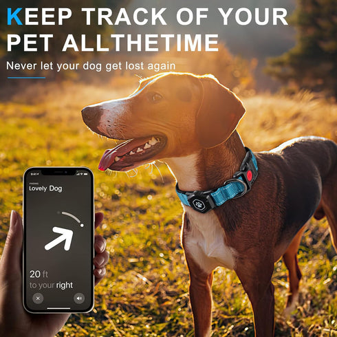 AirTag Dog Collar with Waterproof Holder, Luminous Reflective, Comfortable Durable 1000D Nylon, Fit for Large Active