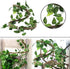 PINVNBY Hammock for Bearded Dragons, Reptile Habitat Lounger with Natural Seagrass Fibers, 4Pcs