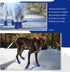 Dog Shoes Dog Boots & Paw Protector, Anti-Slip Sole Winter Dog Booties with Reflective Straps, 4PCS Blue for Small