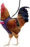 Chicken Harness Hen Size with 5.5-Foot Matching Belt, Comfortable Medium Size for Chicken Duck or Goose