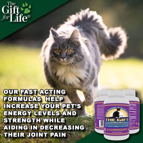 Feline Peptides, Life Extending Cat Supplement, Immune, Joint, Skin and Coat Supplement for Cats, 60 Tablets