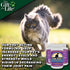 Feline Peptides, Life Extending Cat Supplement, Immune, Joint, Skin and Coat Supplement for Cats, 60 Tablets