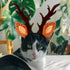Beaupretty Christmas Hat for Cat Pet Deer Costume Hat Dog Reindeer Costume Elastic Band Adjustable Antler Headband Cat Costume Cat Christmas Antler Headband Pet Cosplay Costume,M