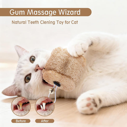 Quatendril Toys-7pcs Cat Chew Toy-Natural Loofah Raffia Catnip Handmade Gum Massage Teether w/ Cat Wand Toy