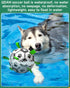QDAN Dog Toys Soccer Ball with Straps - 10 Inch Durable Herding Ball for Extra Large Dogs, Outdoor Water Toy, Birthday
