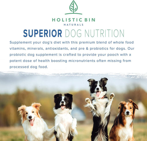 Canine Fermented Farm Superfood Dog Supplement | Vitamin & Mineral Rich Blend Packed with Dog Digestive Enzymes and Probiotics | Fermented Spinach, Pumpkin, Blueberry, Beets, & Turmeric for Dogs