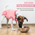 IDOMIK Dog Recovery Suit for Female Spay, Adjustable Anti-Licking Onesie, Soft Wound Bandage & E-Collar