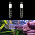 2 Pack 3 Holes Planaria Trap for Aquarium, Bristle Worm Catcher Snail Trap for Fish Tank Leeches Catcher