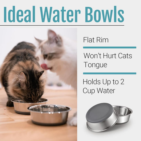 PEGGY11 Stainless Steel Cat Bowls - Nonslip Rubber Bottom, Dishwasher Safe, 2 Pack, 2 US Cup