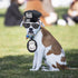 Yewong Pet Police Costume Accessory Set, Dog Cat Police Hat Badge and Sunglasses for Halloween Cosplay Party