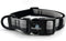 Gradient Color Dog Collar, Adjustable for Medium Dogs, Quick Release Buckle, Durable Breathable & Fade Resistant,