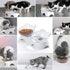 MILIFUN Elevated Tilted Cat Food Bowls, Anti Vomiting Orthopedic Bowls for Puppy and Bunny
