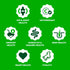 8-in-1 15.5 oz. 80 Count Greenies Dog Supplements Multi-Benefit Dog Vitamins and Supplements Chicken Flavor, Container
