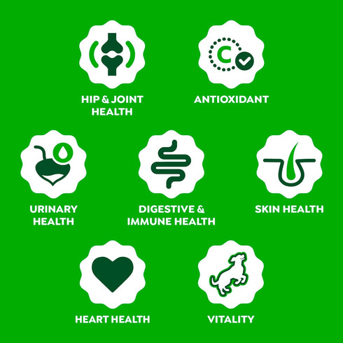 8-in-1 7.76 oz. 40 Count Greenies Dog Supplements Multi-Benefit Dog Vitamins and Supplements Chicken Flavor, Pouch
