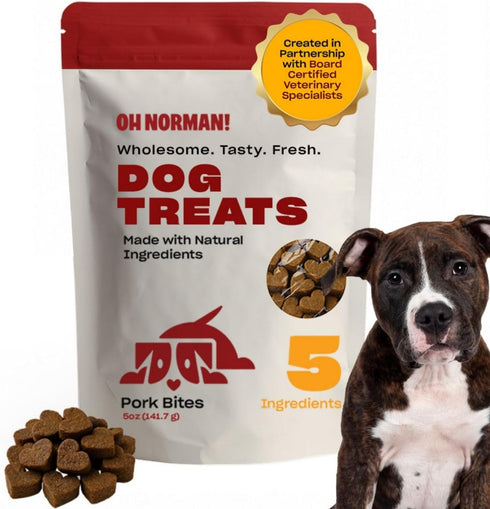 OH NORMAN! Dog Treats by Kaley Cuoco - Low Calories, Low Fat & Wholesome Treats with Pork - Doggie Treats for Seniors
