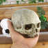 Hewnda Aquarium Decor, Resin Artificial Head Skeleton Decoration for Aquarium Otaru Landscape