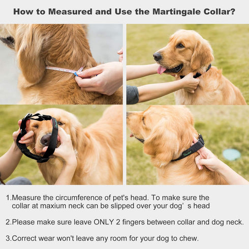 Martingale Collar Nylon Dog Collar - Dazzber Heavy Duty No Pull Pet Collar for Large Dogs, Adjustable 17" to 25"
