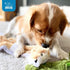 Best Pet Supplies Stuffing Free Squeaky Dog Toys for Small, Medium, and Large Dogs, Durable Chew Toy for Teething Puppy