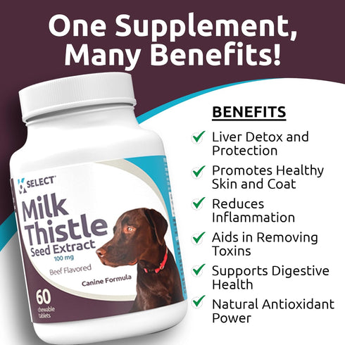 K9 Select Milk Thistle for Dogs, 100mg - 60 Beef Flavored Tablets for Canine Liver Health Supplement