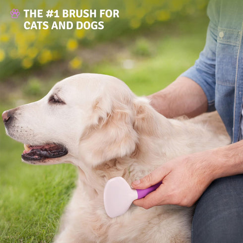 Poodle Pet Slicker Brush for Dogs, Cats, Rabbits - Matted/Loose Fur Grooming for Short/Long Hair
