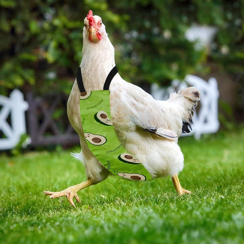 Washable Fruit Print Diapers for Poultry - Avocado Design, Small Size