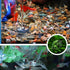 APGLSXY Stylish Leaf Design Acrylic Feeder Bowl for Shrimp Crabs and Small Fishtanks Pet