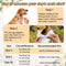 Wedding Dog Bandanas, My Humans are Getting Married, Dog Engagement Wedding Party Photo Prop Bandana, Small