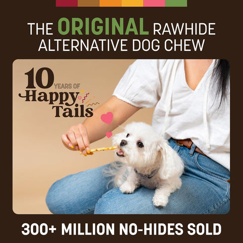 40 Count Pack Earth Animal No Hide Stix - Long Lasting Rawhide Free Small Dog Chews Sticks, Pork - Extra Value