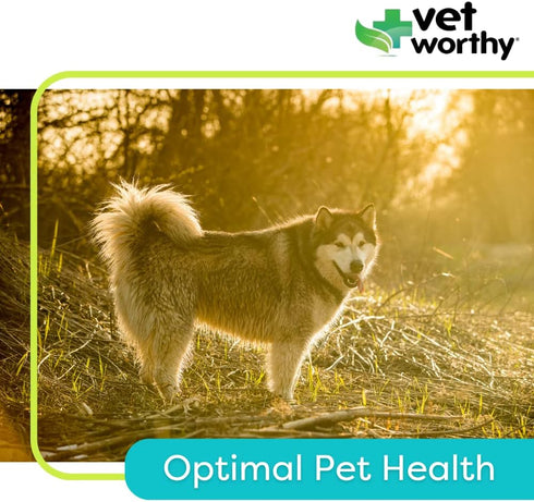 60 Vet Worthy Adult Multi Vitamins - Multivitamin for Dogs to Support Optimum Health and Overall Wellness - Dog