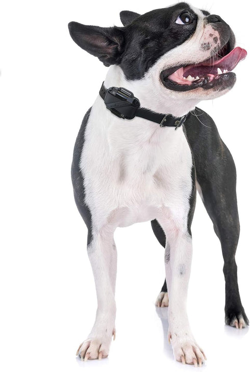 Educator CPAD-010 Dog Training Collar Receiver Contact Pad, Improves Contact, Reduces Skin Irritation