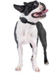 Educator CPAD-010 Dog Training Collar Receiver Contact Pad, Improves Contact, Reduces Skin Irritation