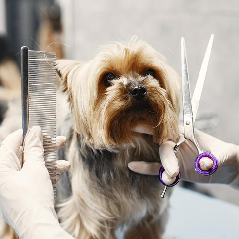 12 PCS Soft Silicone Scissors Finger Rings for Pet Grooming, Thumb Inserts, Finger Protector Ring for Animal Hair