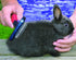 Lixit 4 Piece Grooming Kits for Rabbits, Guinea Pigs and Other Small Animals