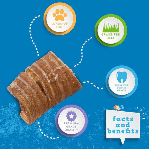 Jack&Pup Trachea Dog Chew, 3-inch Beef Trachea Bites for Dogs (16 oz), Natural Dog Treat Rich in Glucosamine