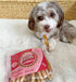 Rena's Recipe Chicken Twisty Sticks, 8 oz - Rawhide Free Chicken Wrapped Soft Chews